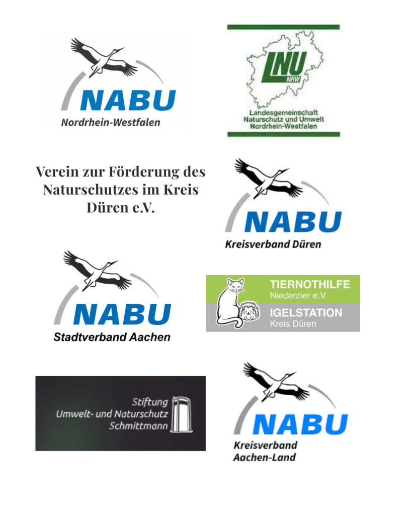 Dieses Bild hat ein leeres Alt-Attribut. Der Dateiname ist WhatsApp-Image-2025-10-05-at-02.29.18-1-819x1024.jpeg